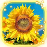 Cover Image of Download Sunflowers Summer HD  APK