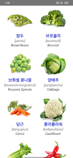 Learn Korean Flashcards