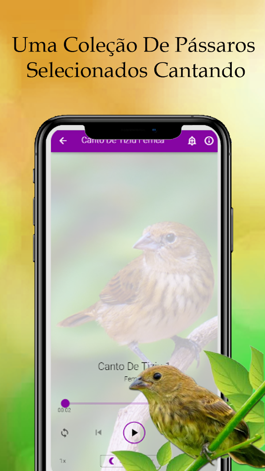 #7. Canto De Tiziu Fêmea (Android) Podle: Riao Media Digital