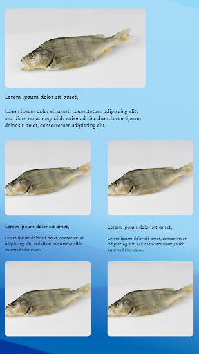 Name That Fish Screen 3