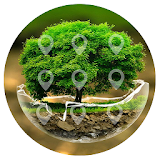 AppLock Tree Theme icon