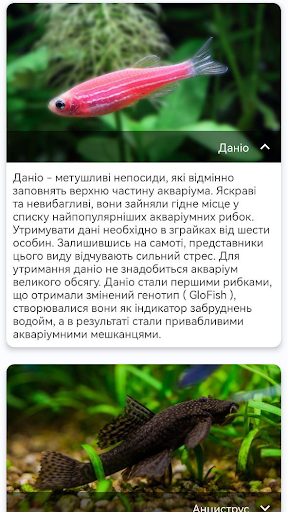 Акваріум Screen 3