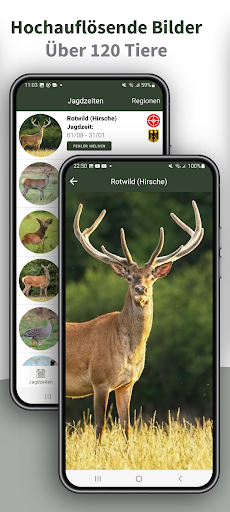 Hunting Plus - Jagdzeiten App Screen 3