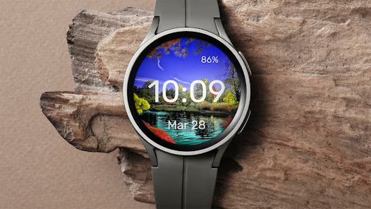 Screenshot image