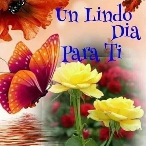 Saludos graciosos y divertidos logo