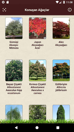 Konuşan Ağaç Screen 2