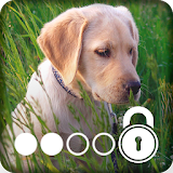 4K Labrador Cute Puppy Amoled Screen Lock icon