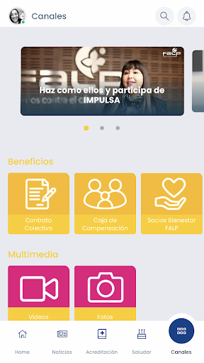 Conecta FALP Screen 2