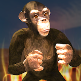 Apes Survival 3D icon