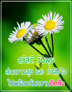 สวัสดีตอนเช้า ประจำวัน