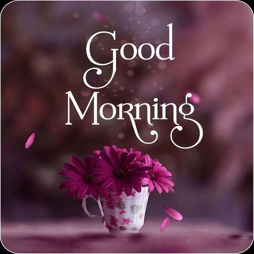 Everyday Good Morning Wishes  Icon