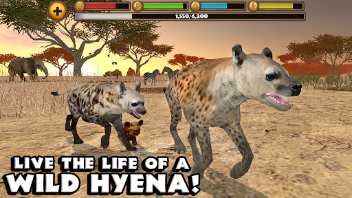 Hyena Simulator Screenshot