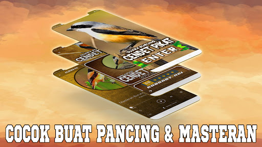 Suara Burung Cendet Pikat Screen 2