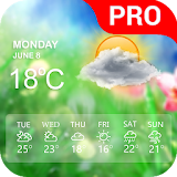 Weather Live Pro icon