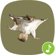 Top 21 Music & Audio Apps Like Appp.io - Flying Squirrel sounds - Best Alternatives