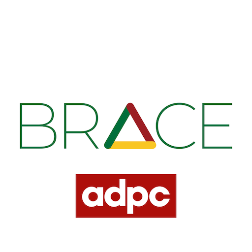 BRACE - ADPC 2.2 Icon