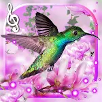 Cover Image of Скачать Hummingbirds Sounds LWP  APK
