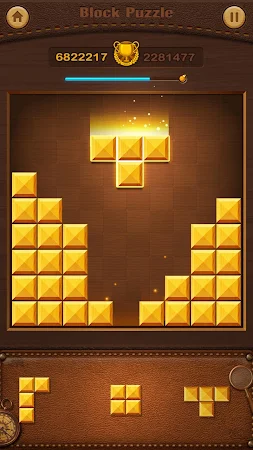 Game screenshot Wood Block Puzzle hack