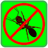 Anti dengue punjab icon