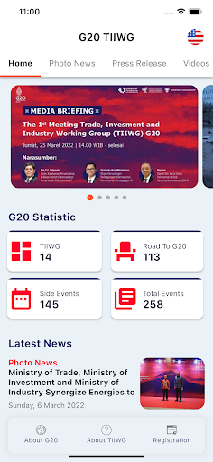 G20 TIIWG Screen 2