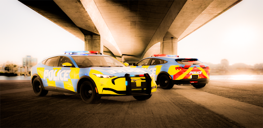 Police Car Game Simulator 3D