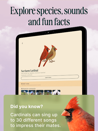 Birdbuddy: ID & Collect Birds screenshot 8