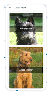 Pets Adoption - Adopt a Pet Capture d'écran