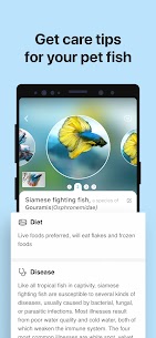 Picture Fish – Fish Identifier Mod Apk New 2022* 4