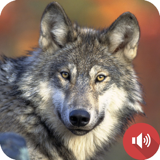 Wolf Sounds logo