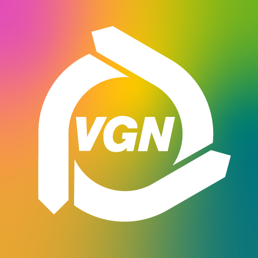 VGN Flow Download on Windows