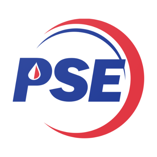PetroSouth logo