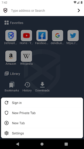DefensX Browser Screen 3
