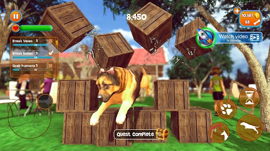 Dog Simulator 3D : Dog Games 7