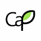 Capture (beta) Download on Windows