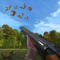 Duck Hunting Challenge 3D Game