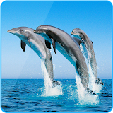 Dolphin Zipper Lock Screen icon