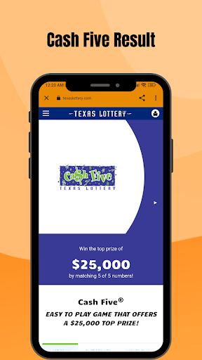Texas Lottery Results Screen 2