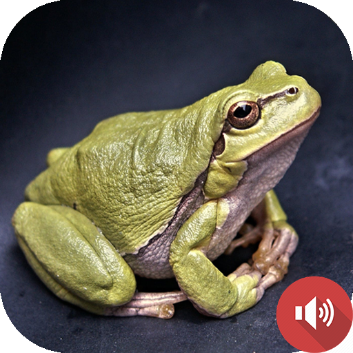 Frog Sounds logo