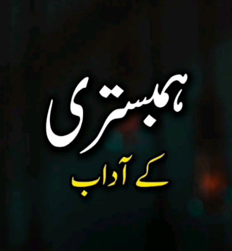 اسلامی لائبریری اردو Screen 2