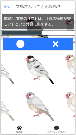 鳥文鳥クイズ