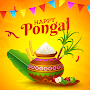 Happy Pongal Wishes