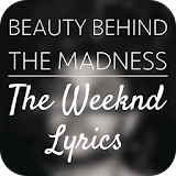 Beauty Behind the Mad.. Lyrics icon