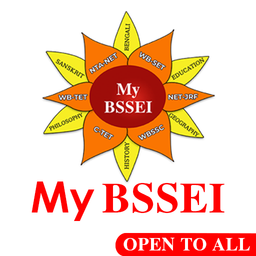 My BSSEI logo