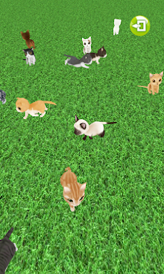 My Cat GO - Screenshot 3