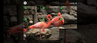 Game screenshot Picture Puzzle LF hack