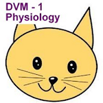 Cover Image of Скачать DVM 1st Yr Quiz - Physiology  APK