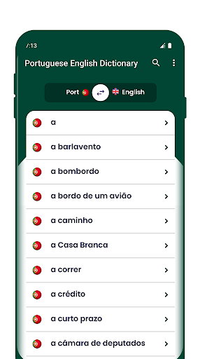 Portuguese English Dictionary Screen 2