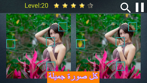 معاينة التطبيق