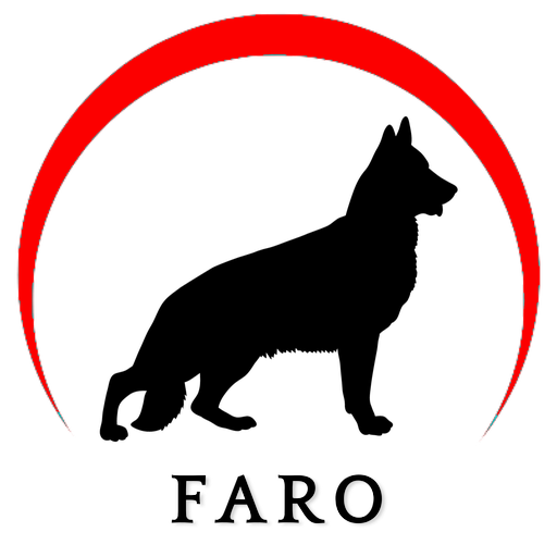 Faro Rastreamento logo
