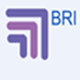 BRI Marketing Solutions icon